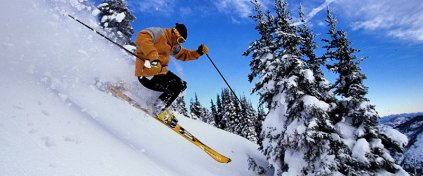 Momentum Trips